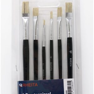 Rheita Borstenpinsel-Set 6-teilig Größen 2-4-6-8-10-12,schwarz, flache Form aus Naturhaar in Klarsichtetui