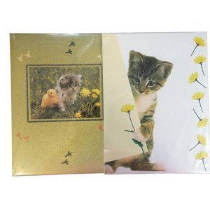 Rheita Briefpapier "Kätzchen", 90g/m², je 10 Bögen + Umschläge, verschiedene Motive