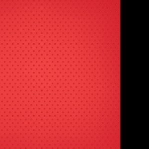 Rheita Kladde "DIORAMA" mit Noppenprägung, A4, kariert, 80 Blatt, 80g/m²